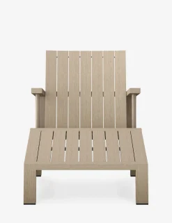 Adym Indoor / Outdoor Accent Chair