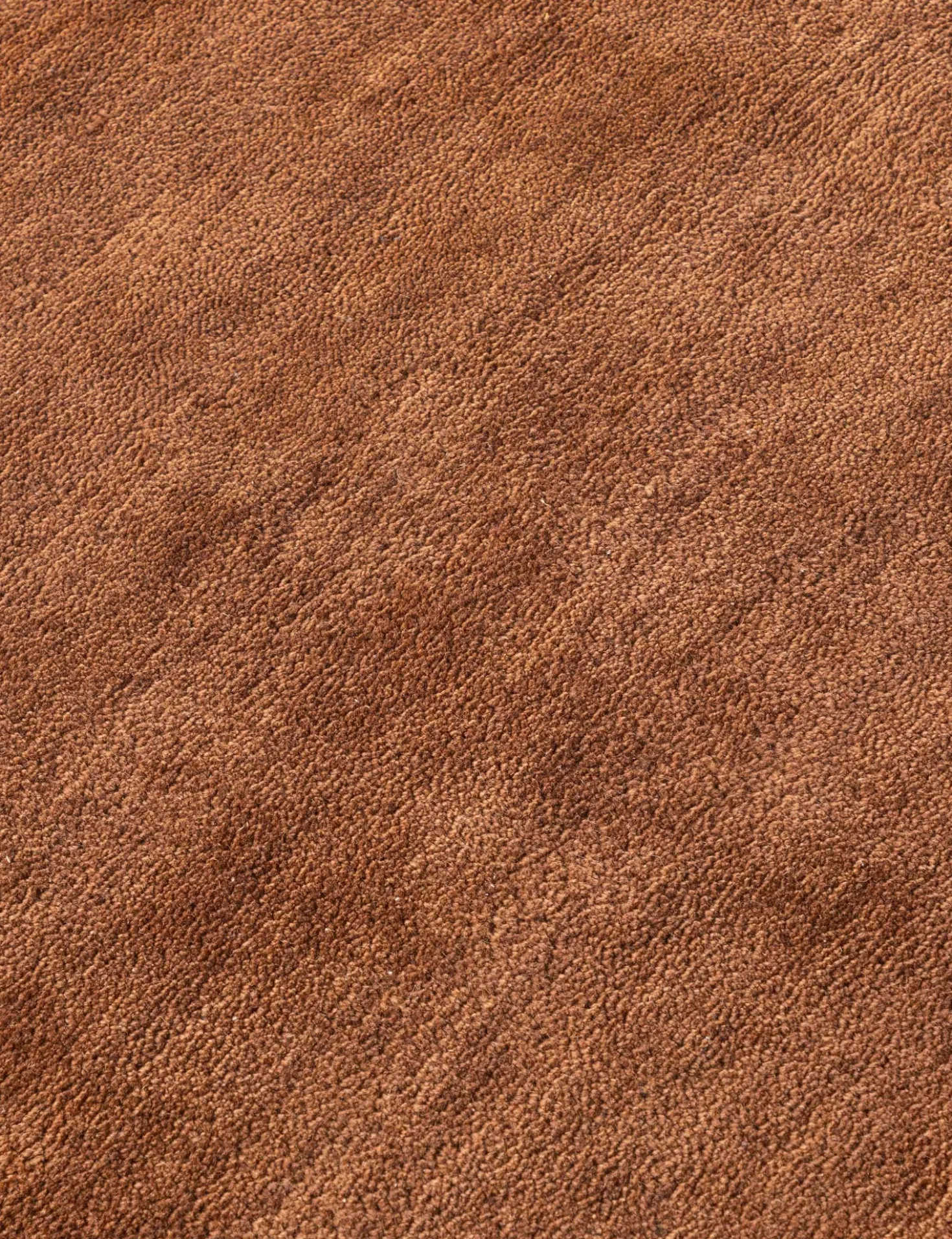 Ajnur Hand-Tufted Wool Rug