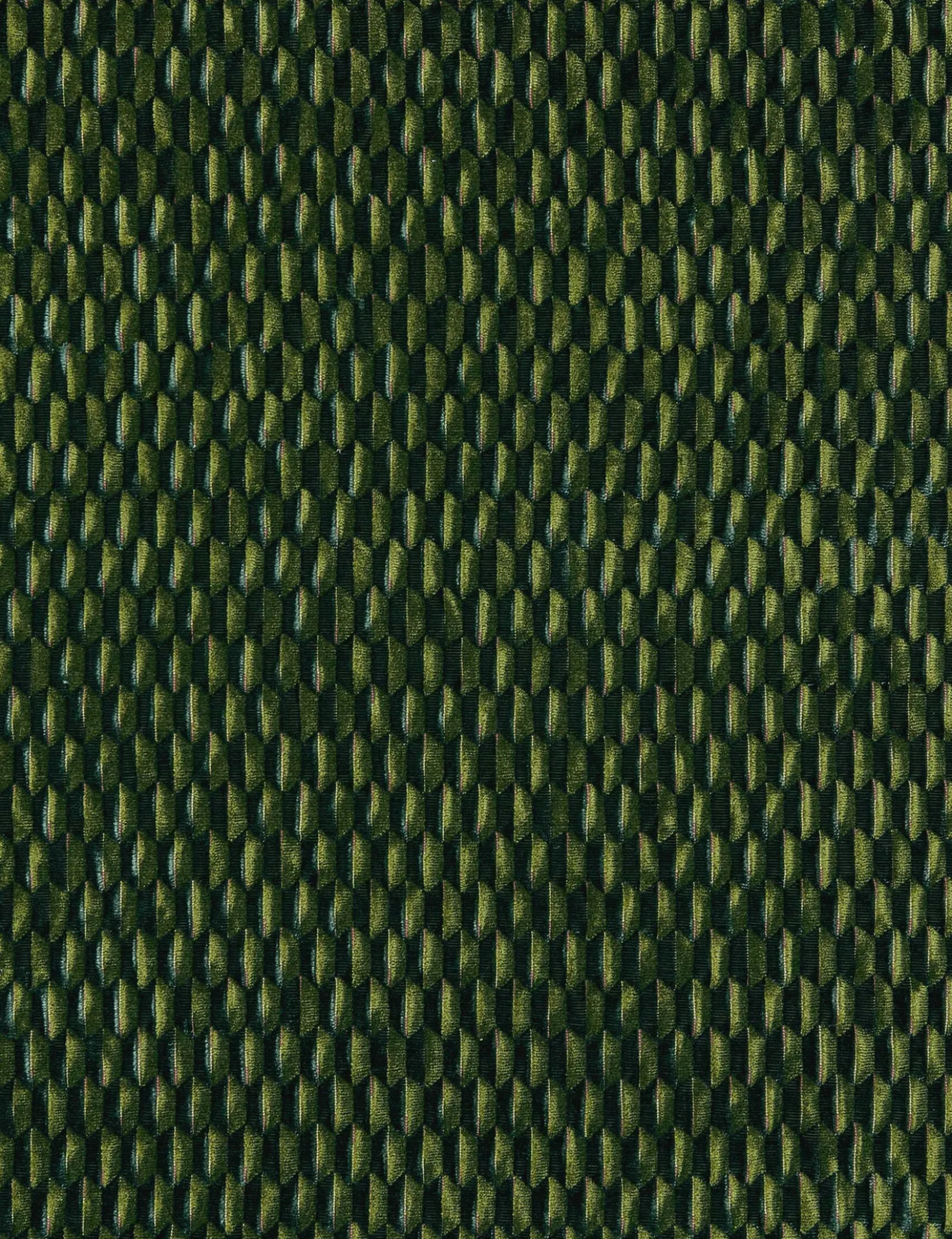 Allegra Velvet Fabric by Scalamandre