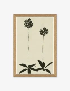 Allium By Susan Hable