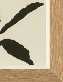 Allium By Susan Hable