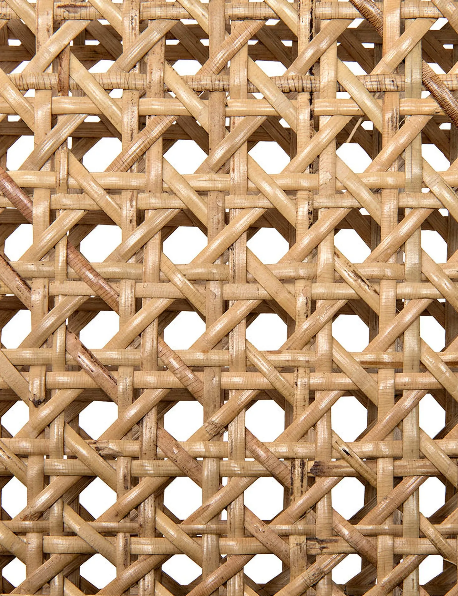 Alvi Dining Chair