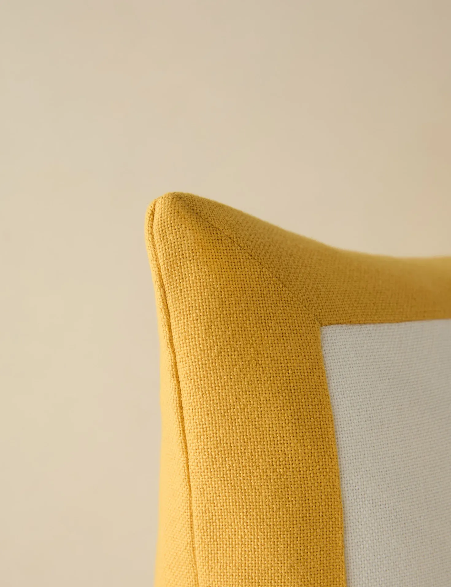 Amica Indoor / Outdoor Pillow