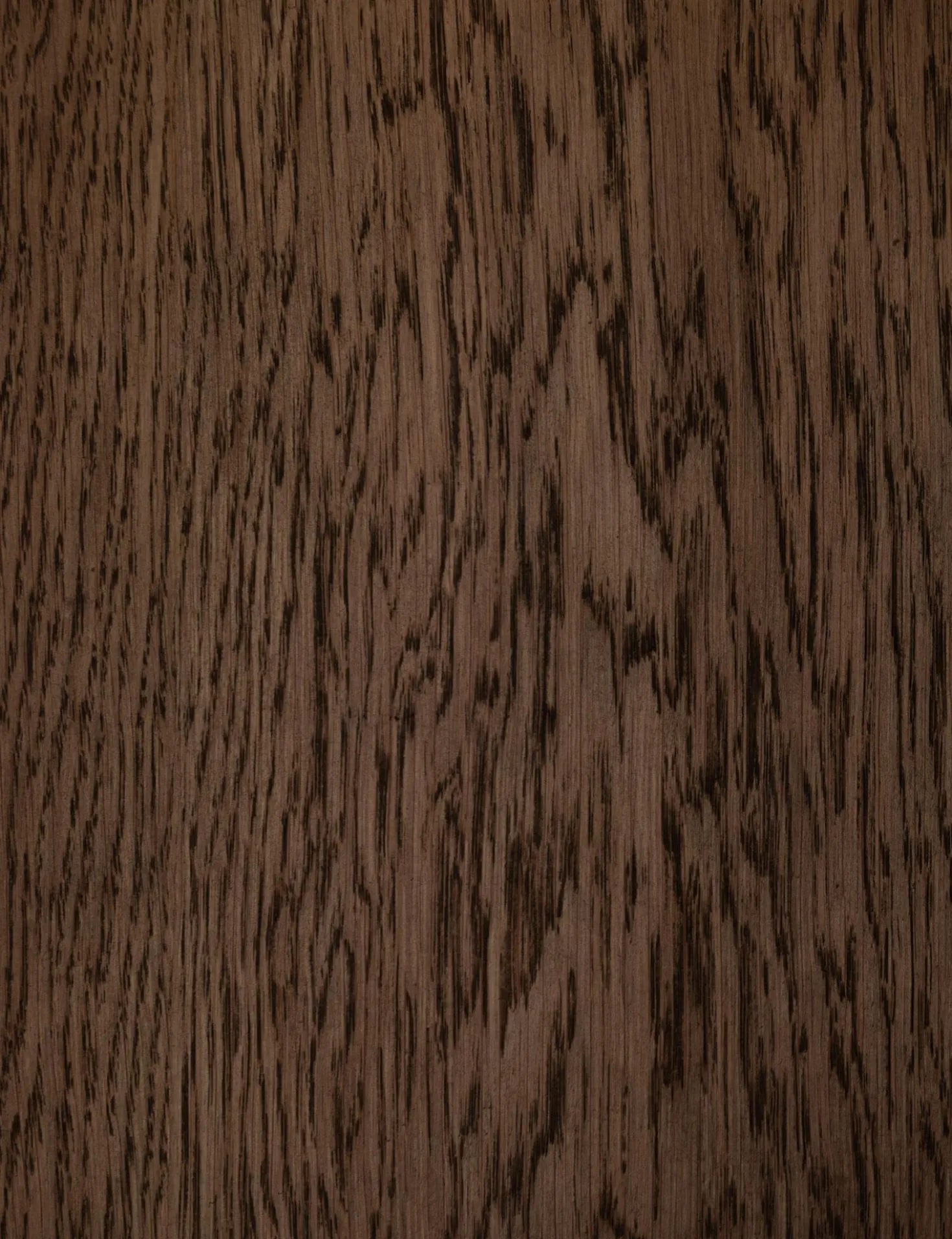 Apolline Curio Cabinet