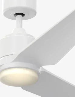 Aurore Ceiling Fan + Light
