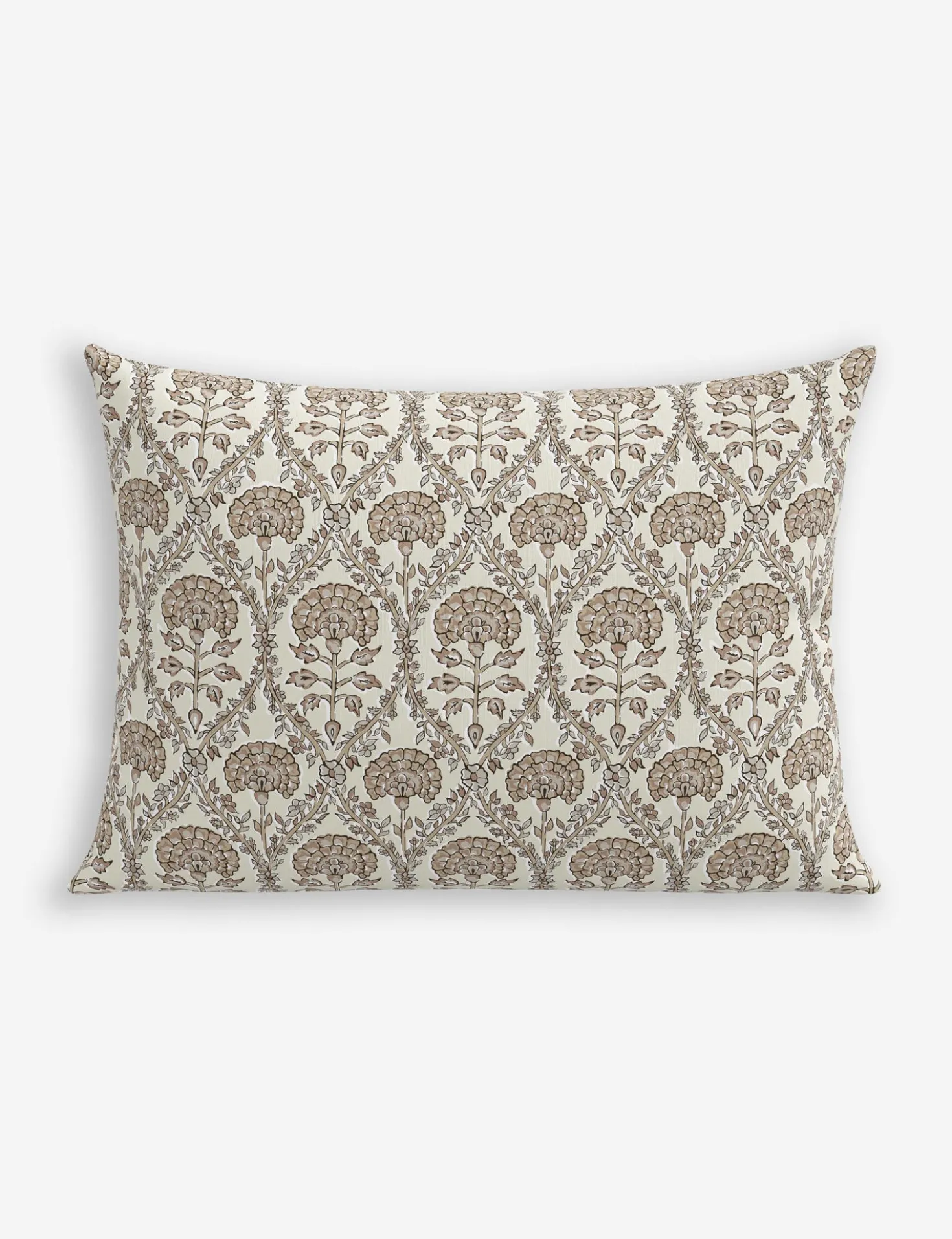Barrera Indoor / Outdoor Pillow