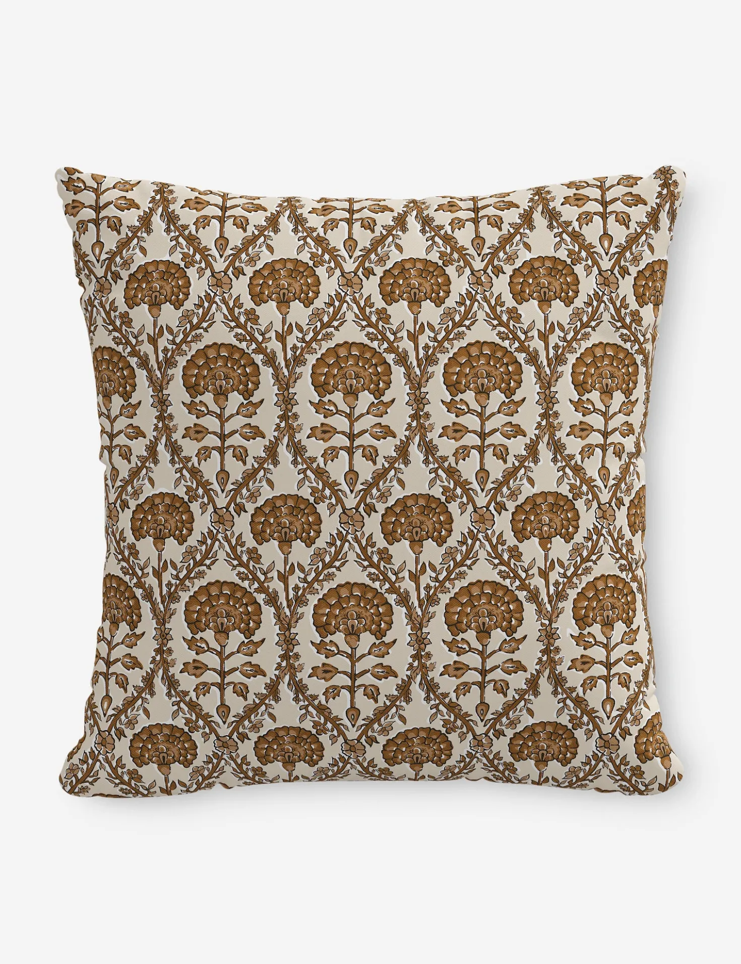 Barrera Indoor / Outdoor Pillow