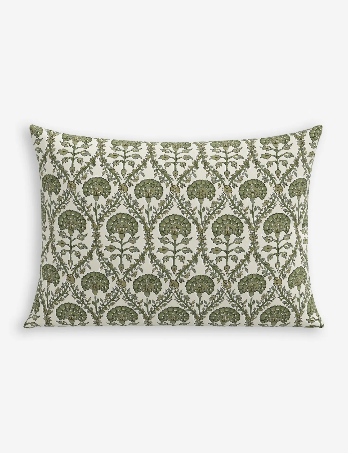 Barrera Indoor / Outdoor Pillow