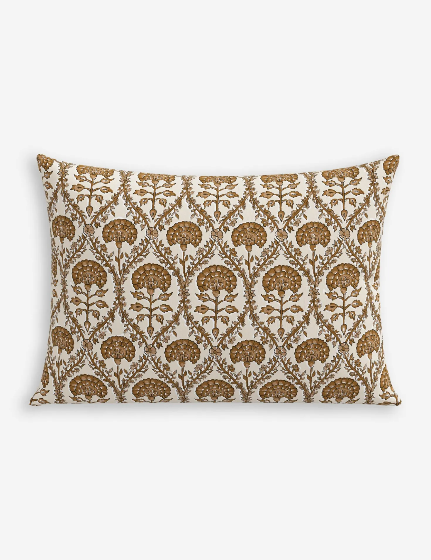 Barrera Indoor / Outdoor Pillow