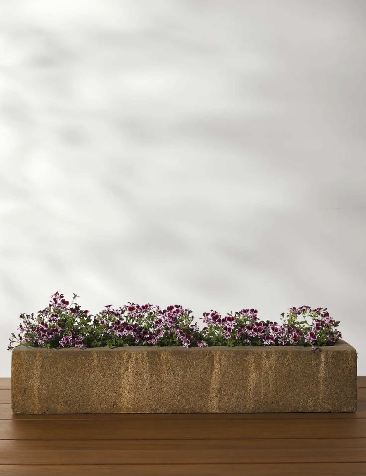 Basic Element Long Planter by Campania International