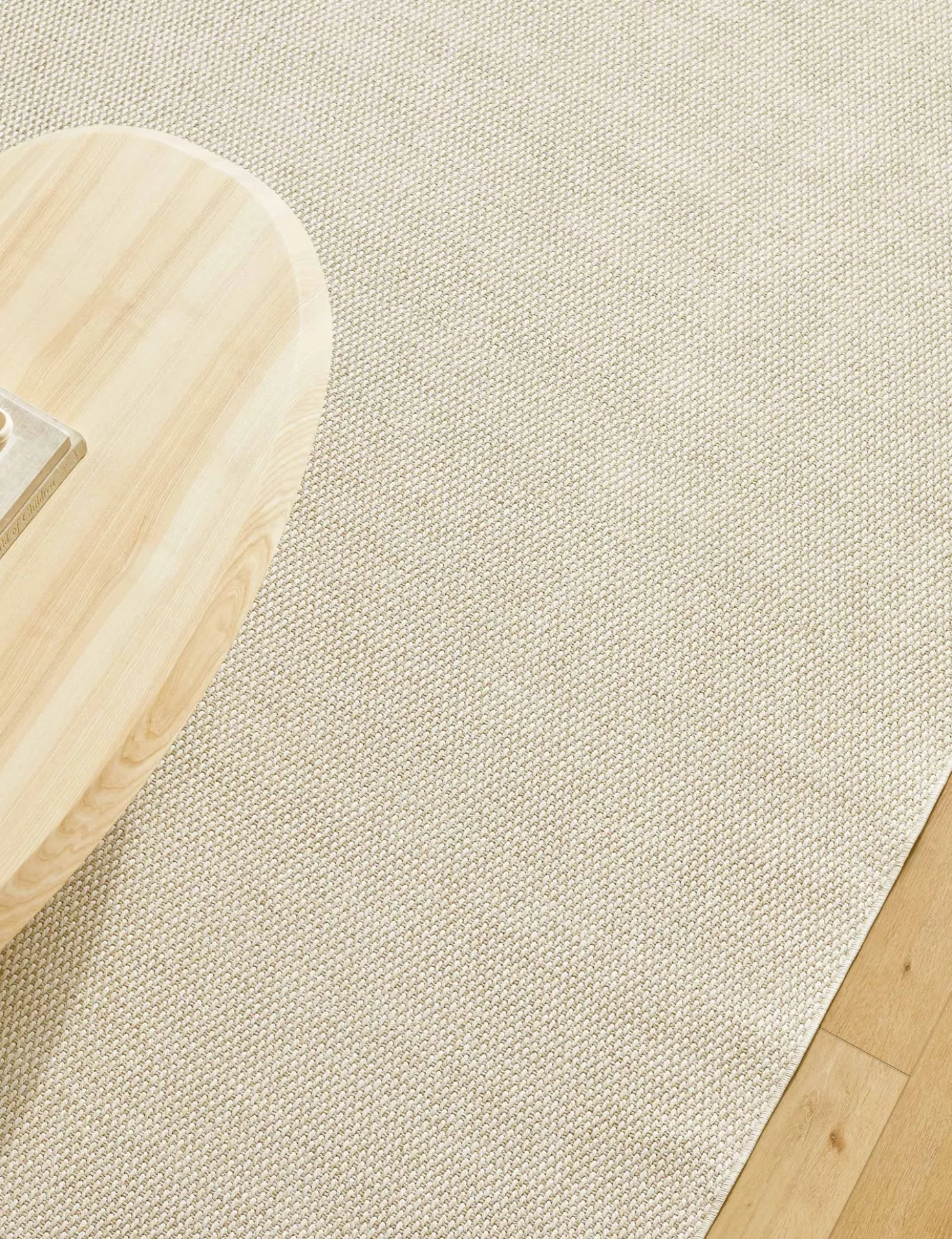 Birdie Indoor / Outdoor Rug by Becki Owens x Surya