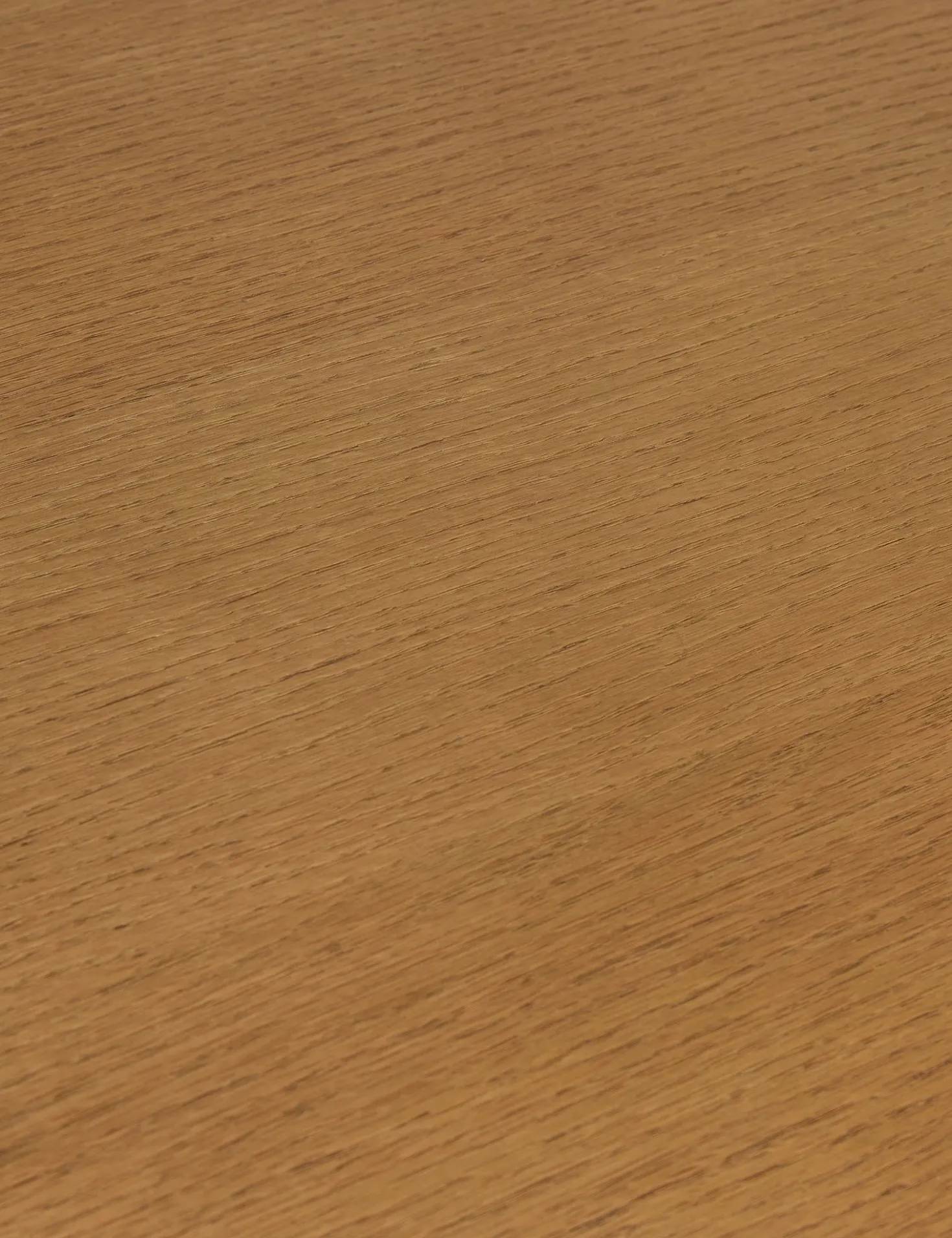 Blume Round Dining Table