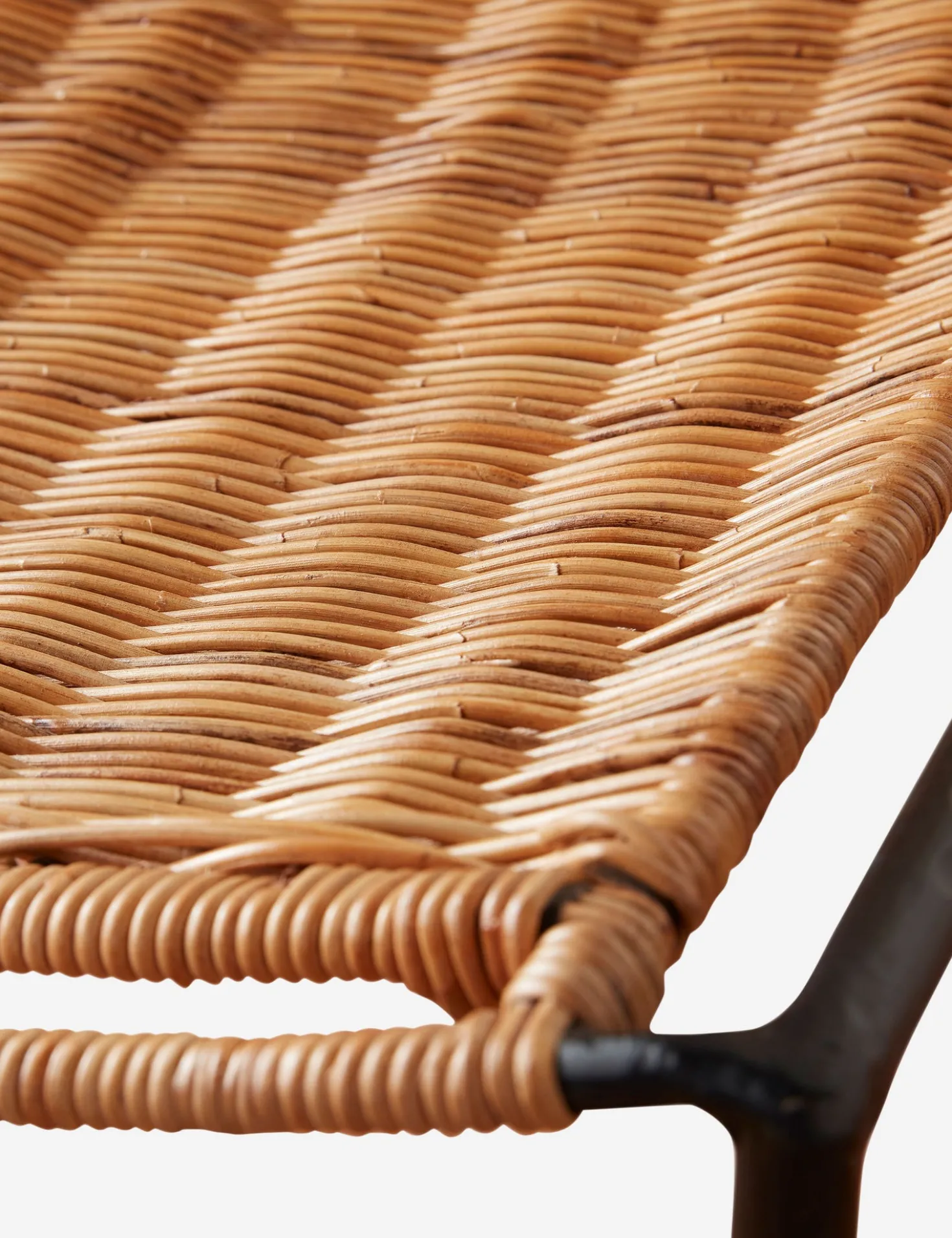 Bonnet Indoor / Outdoor Accent Chair