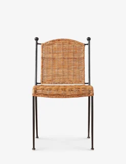 Bonnet Indoor / Outdoor Dining Chair