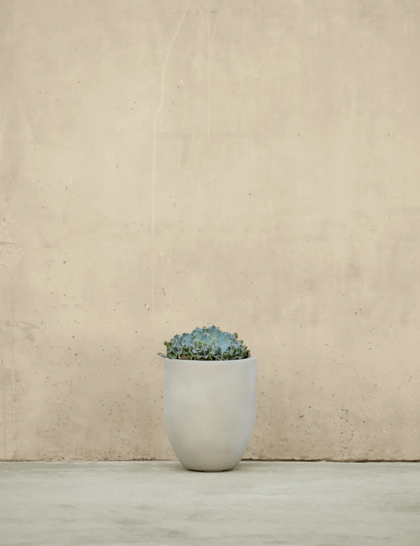 Bradford Planters by Campania International