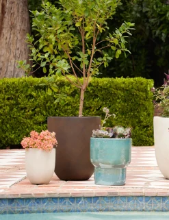Bradford Planters by Campania International