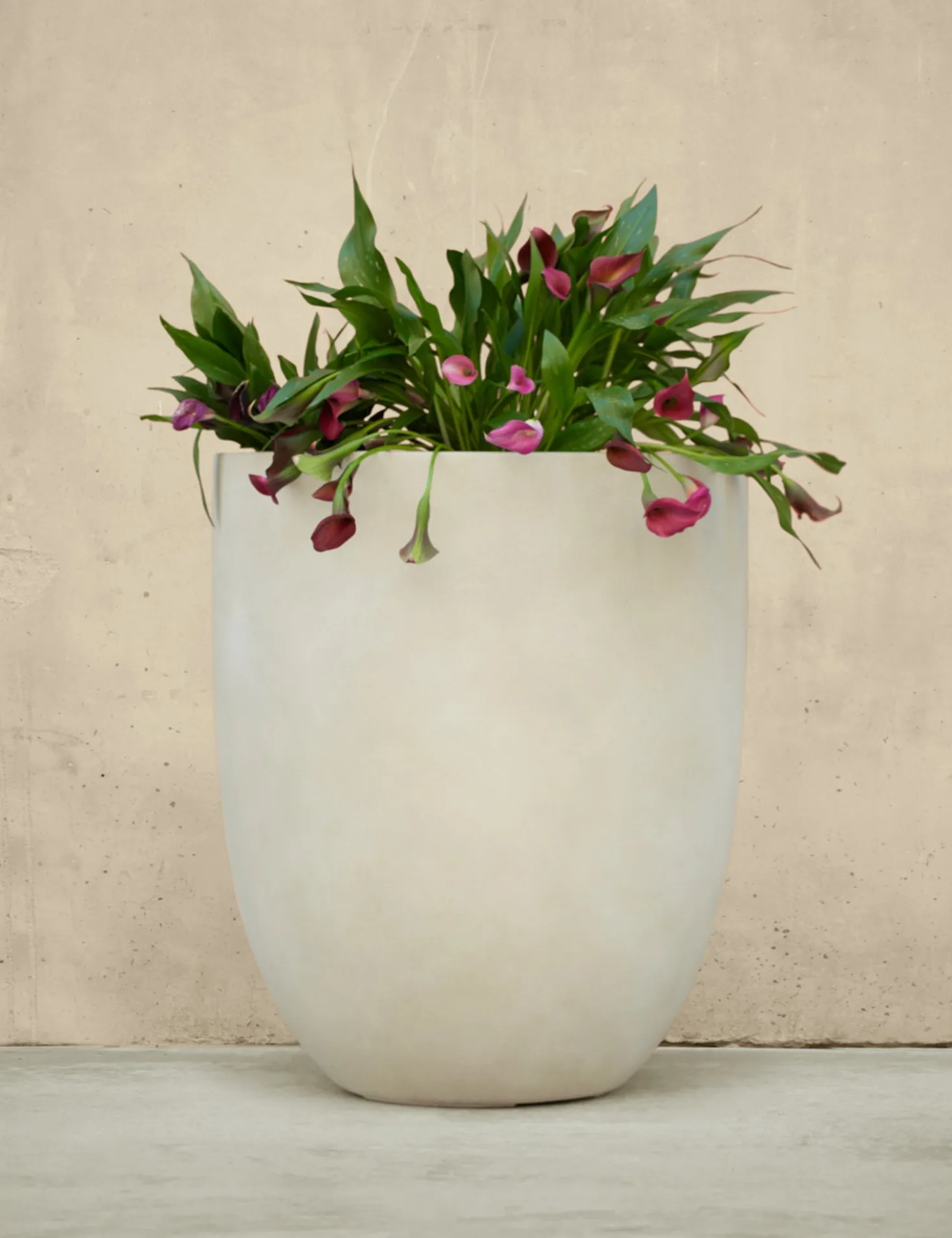 Bradford Planters by Campania International
