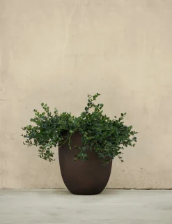 Bradford Planters by Campania International
