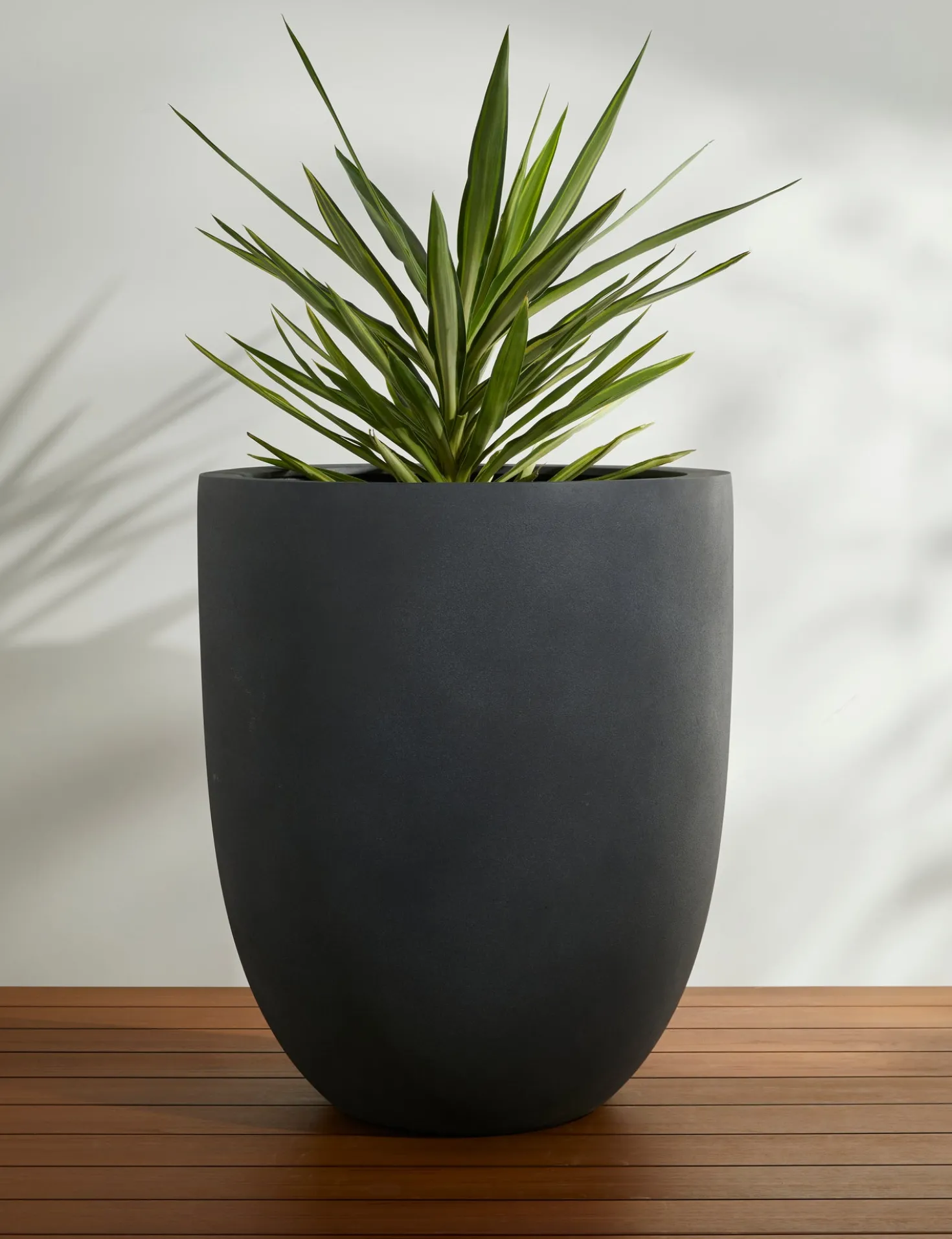 Bradford Planters by Campania International