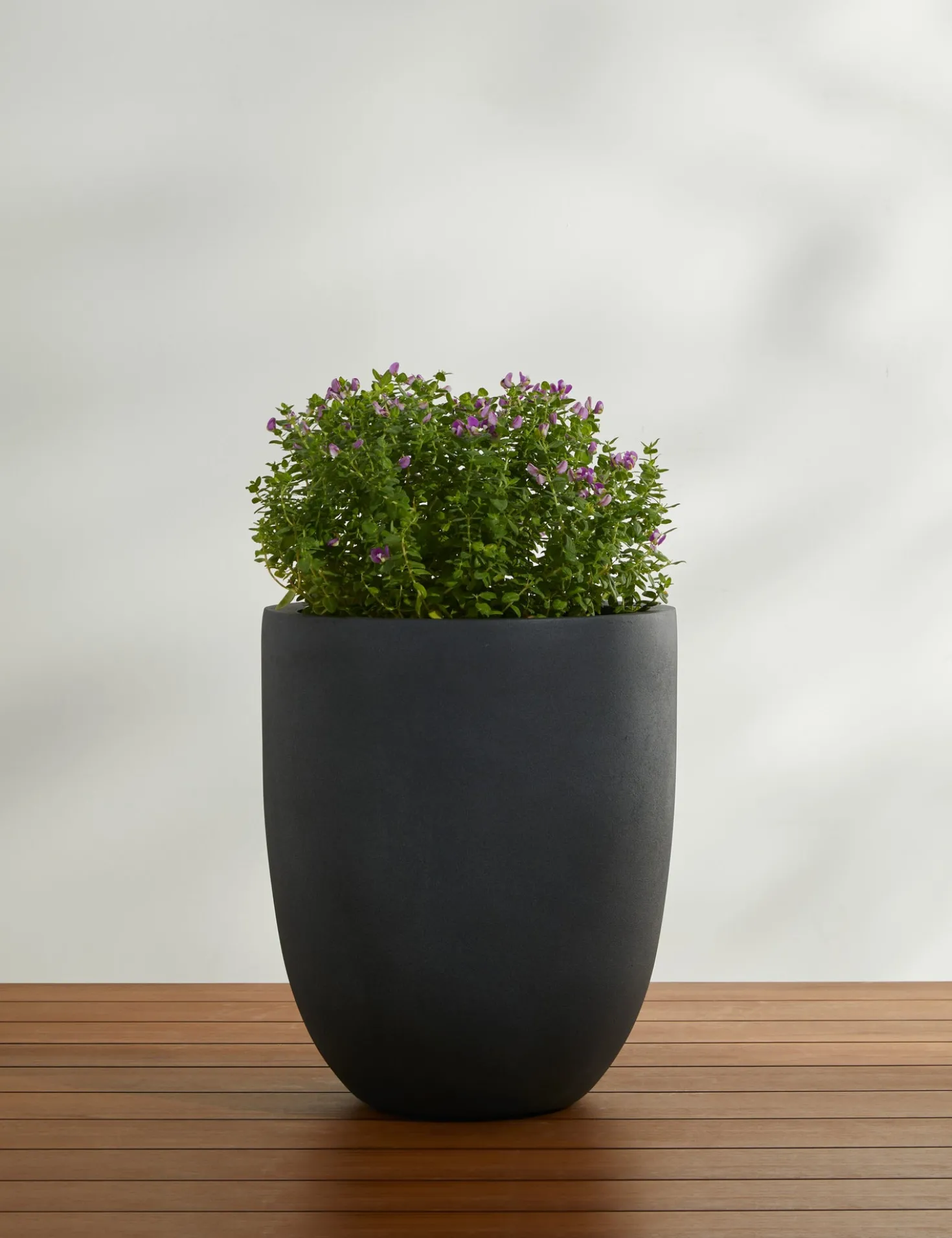 Bradford Planters by Campania International