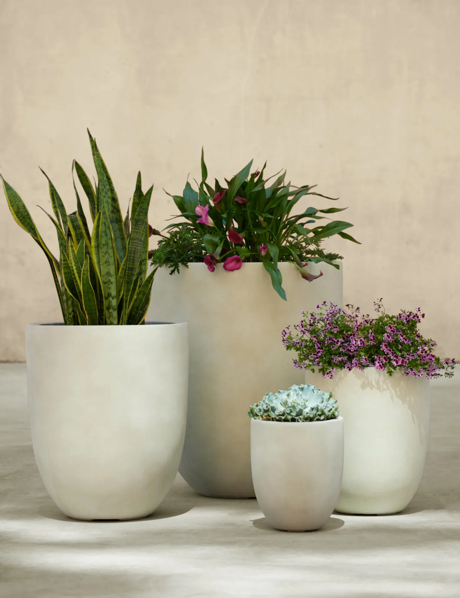 Bradford Planters by Campania International