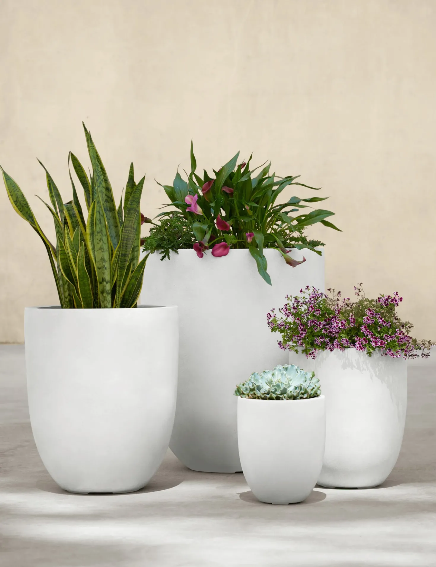 Bradford Planters by Campania International