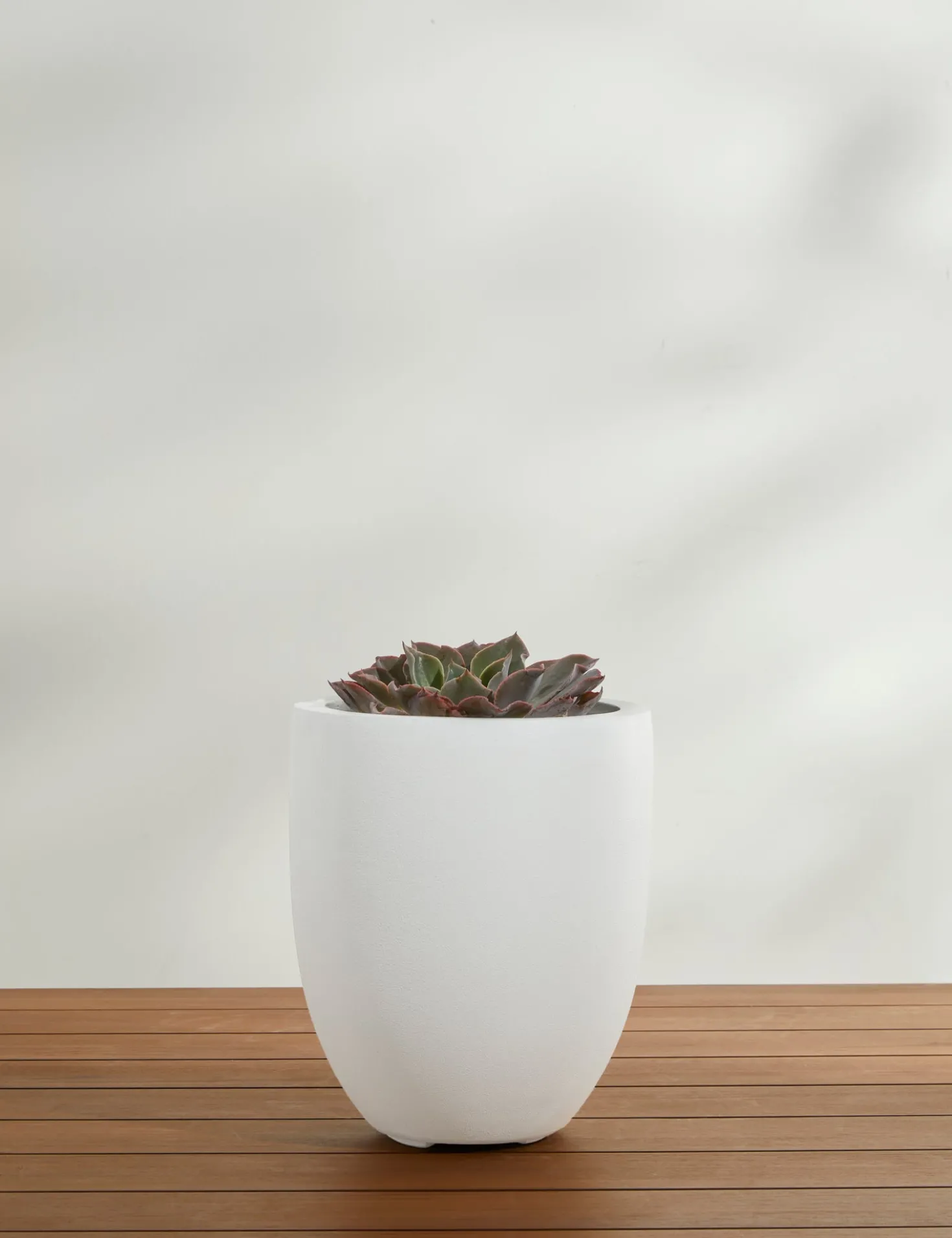 Bradford Planters by Campania International