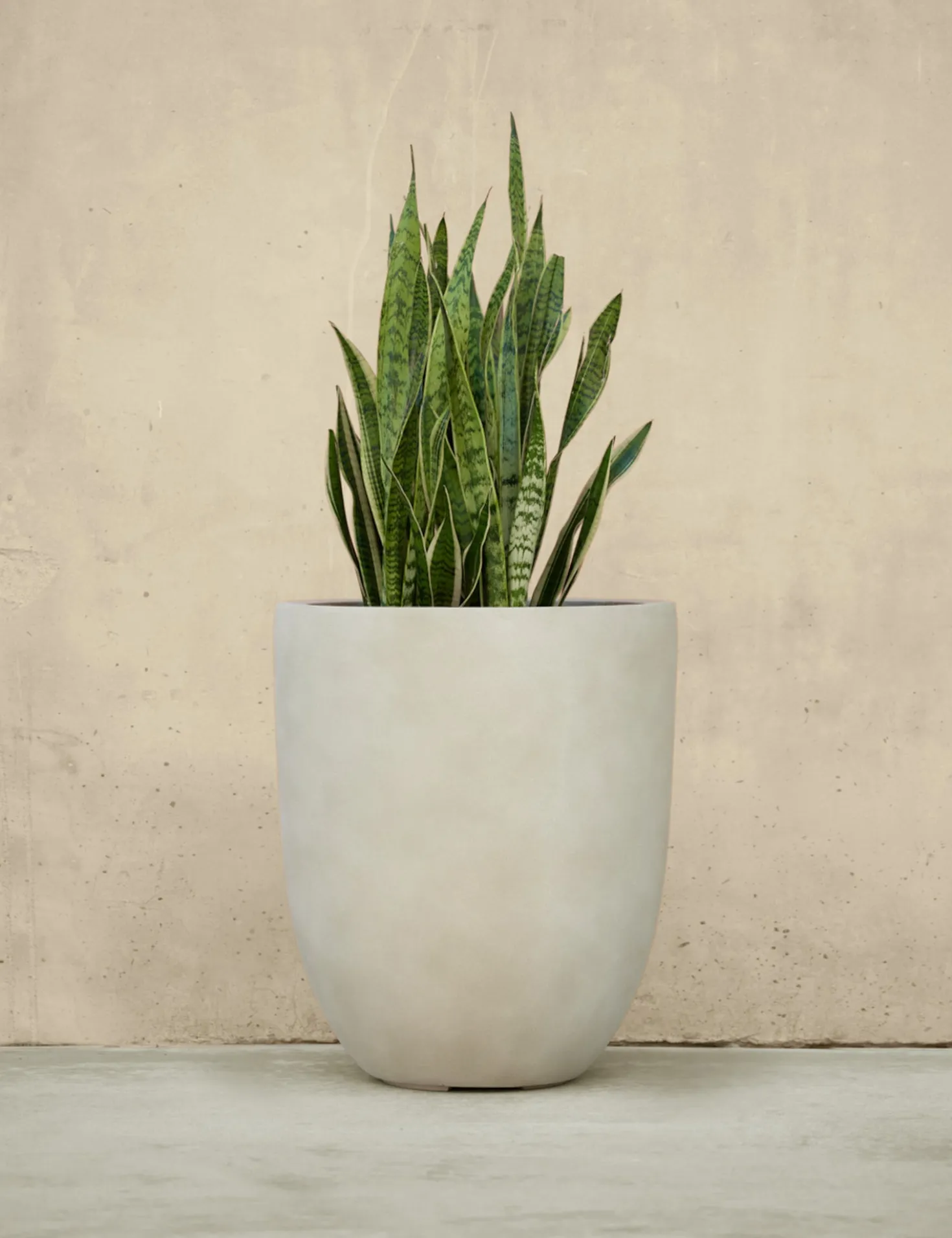 Bradford Planters by Campania International