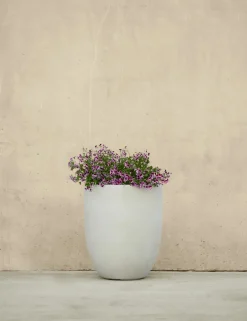 Bradford Planters by Campania International