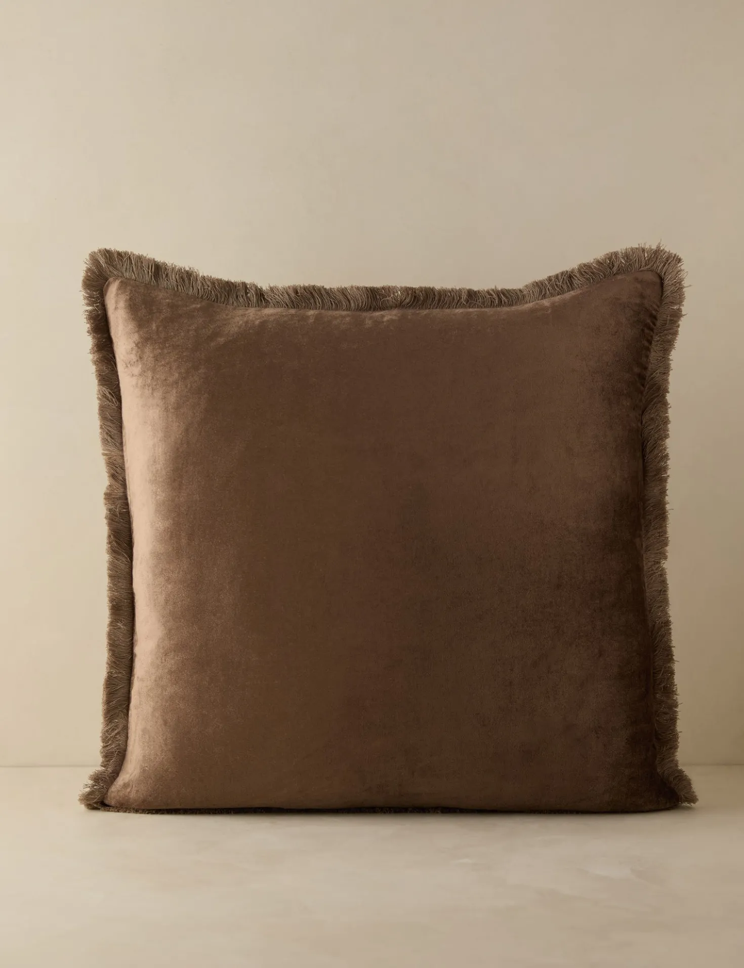 Brandis Velvet Pillow