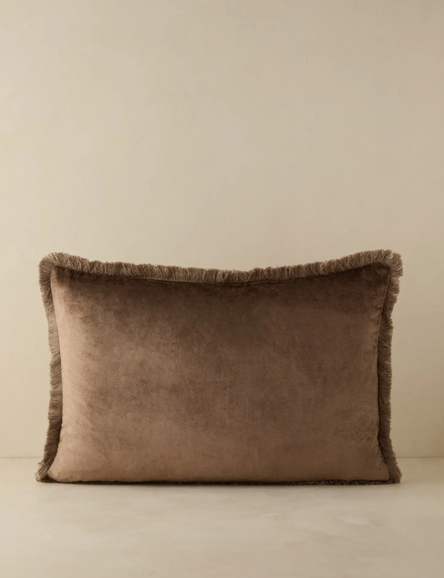 Brandis Velvet Pillow