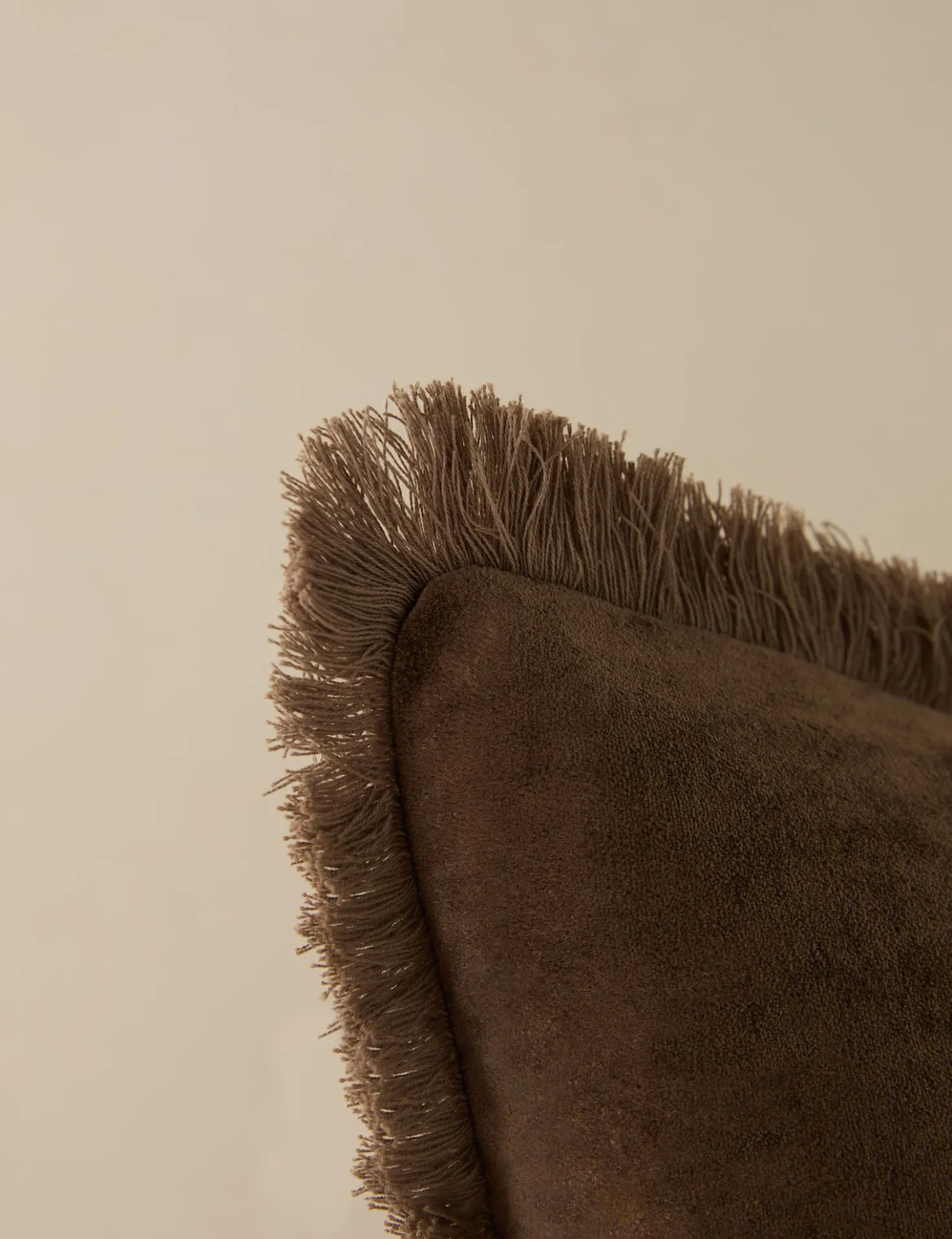 Brandis Velvet Pillow