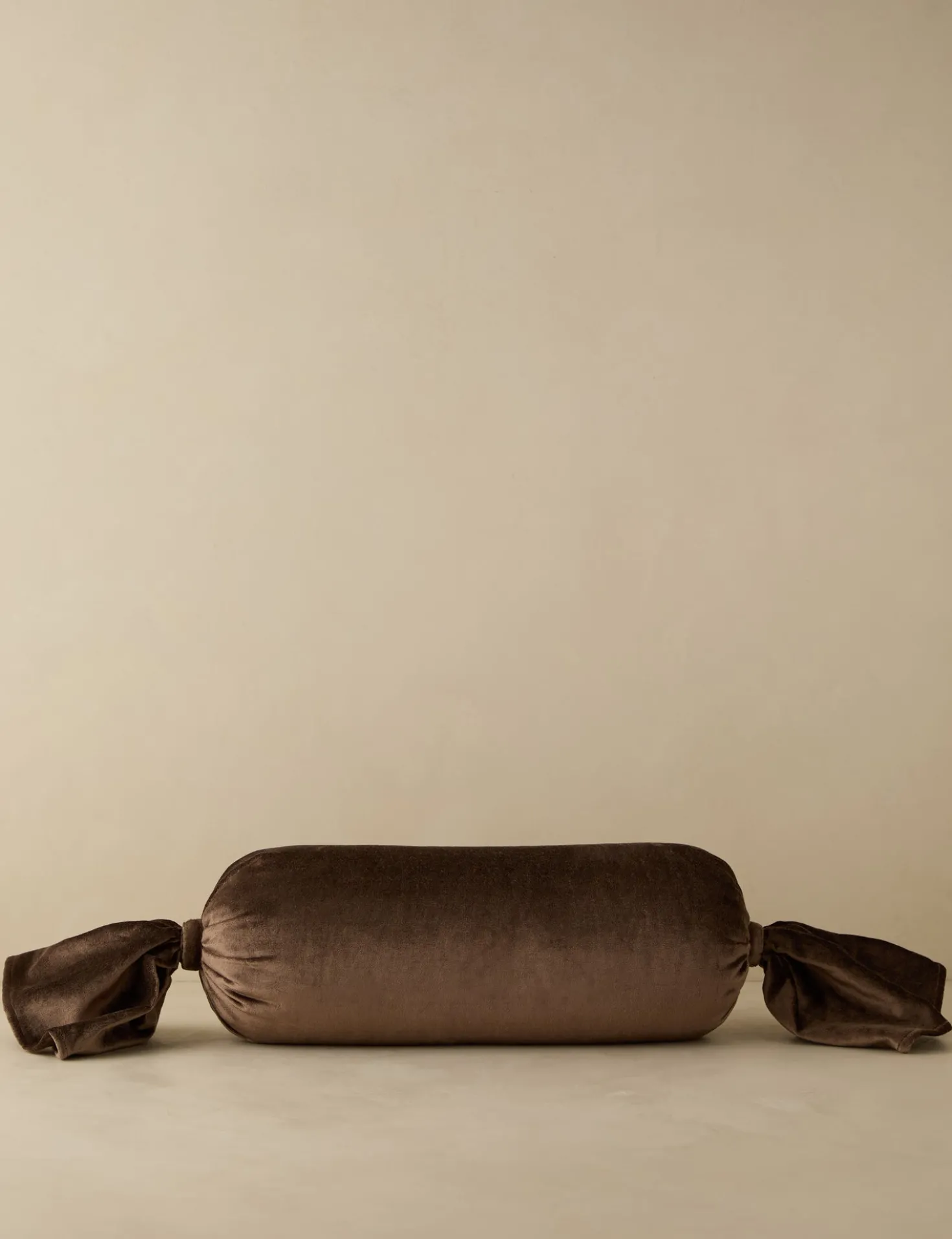 Brandis Velvet Pillow