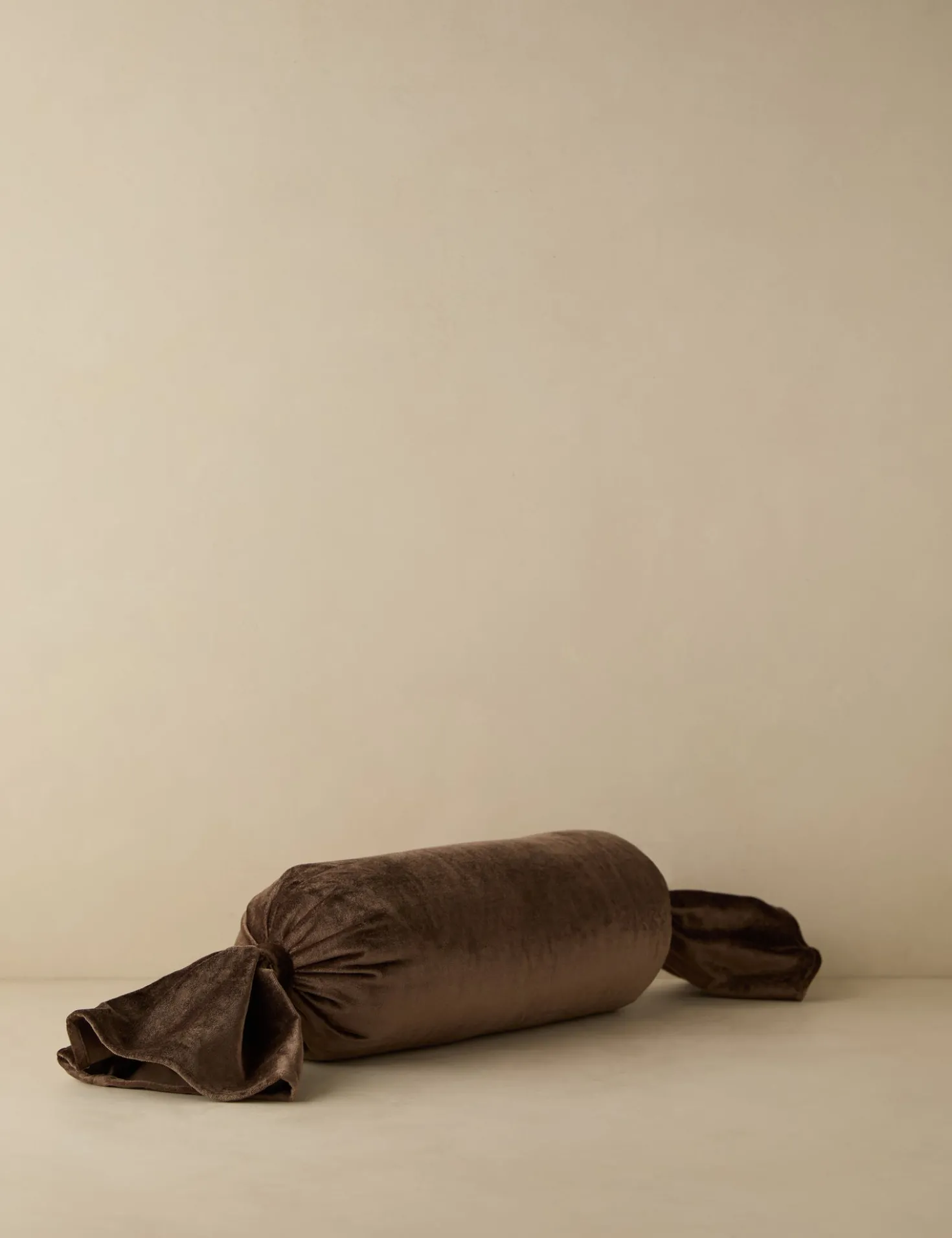 Brandis Velvet Pillow