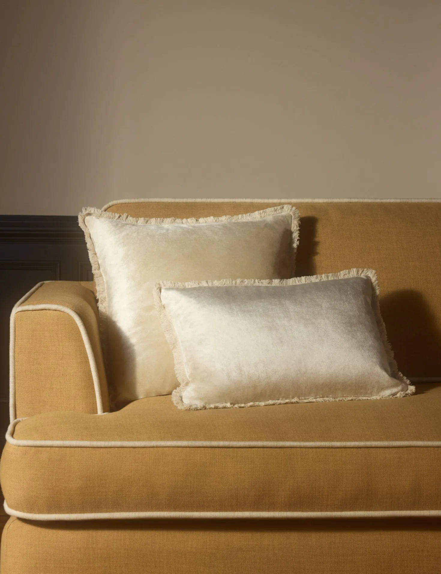 Brandis Velvet Pillow