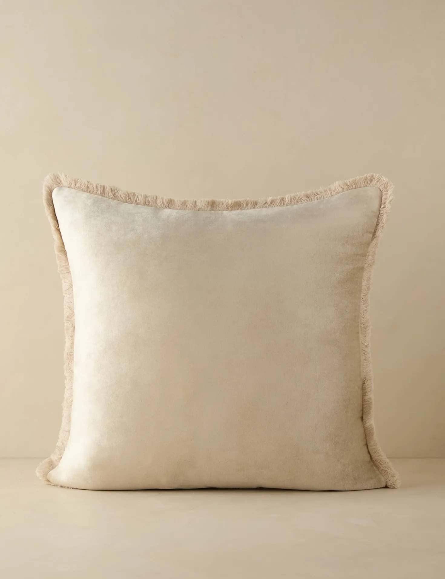 Brandis Velvet Pillow
