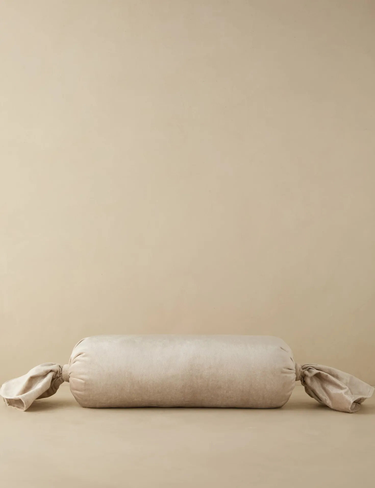 Brandis Velvet Pillow