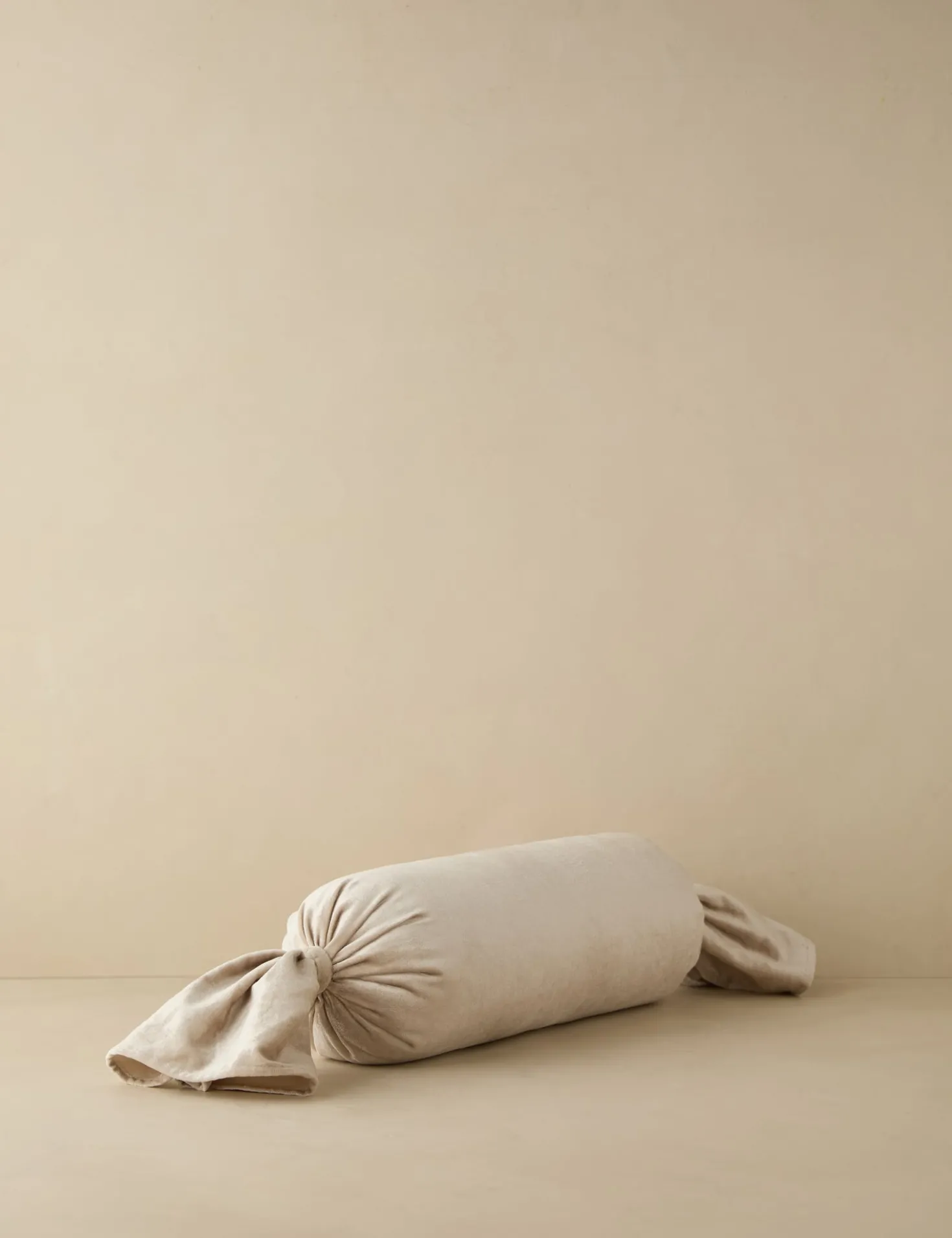 Brandis Velvet Pillow