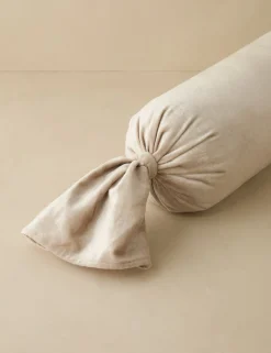 Brandis Velvet Pillow