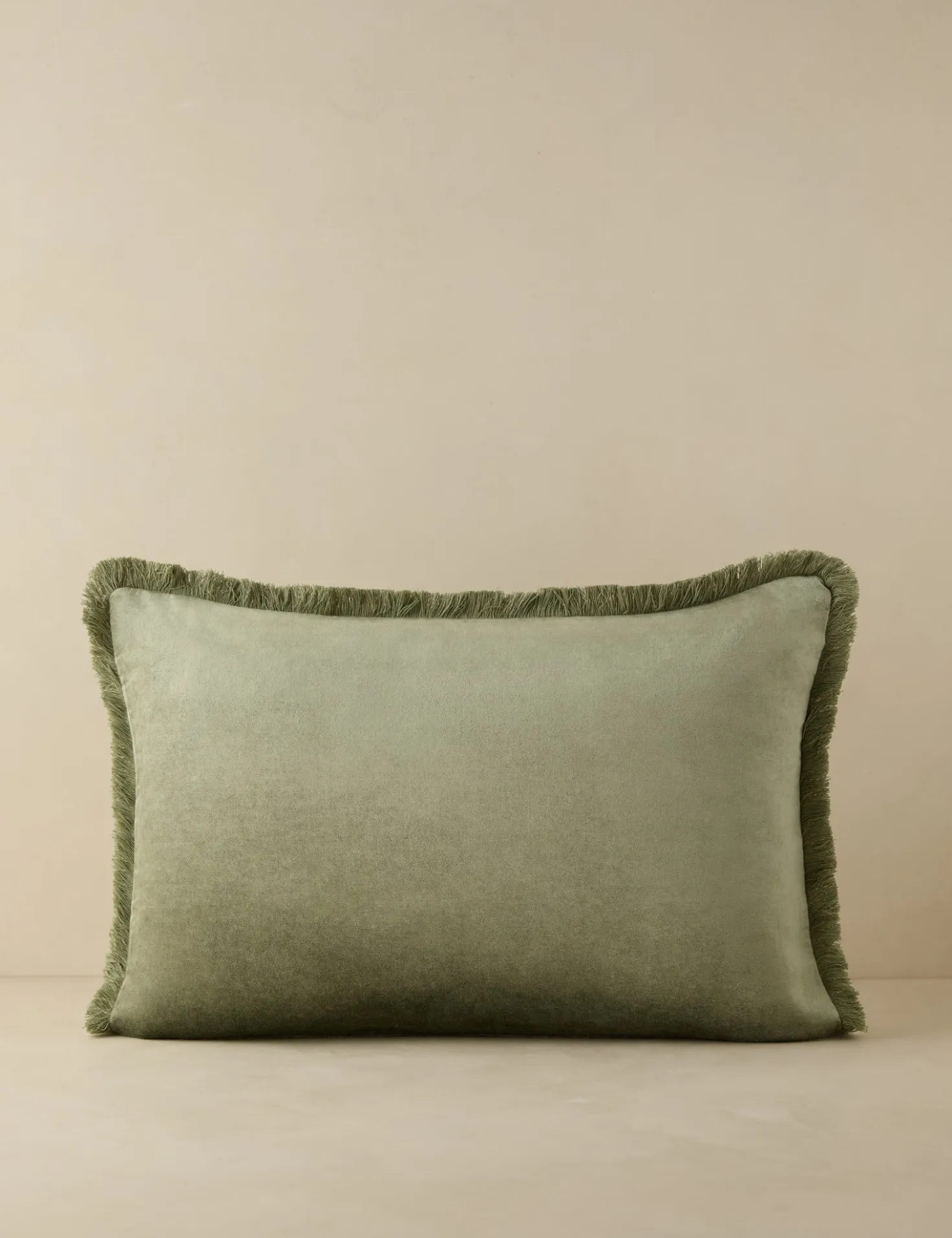 Brandis Velvet Pillow