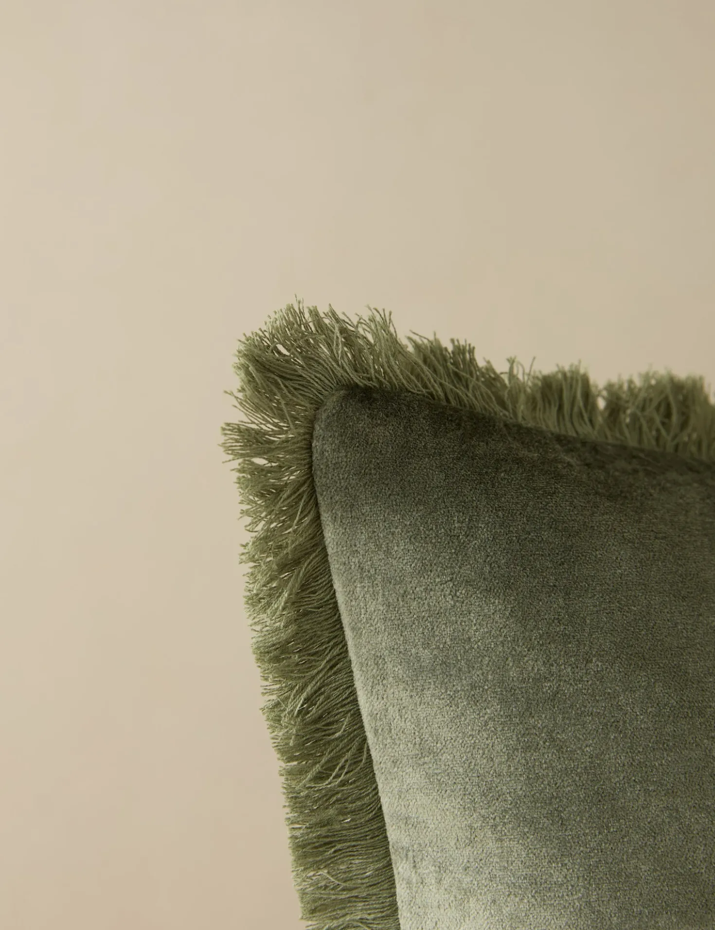 Brandis Velvet Pillow