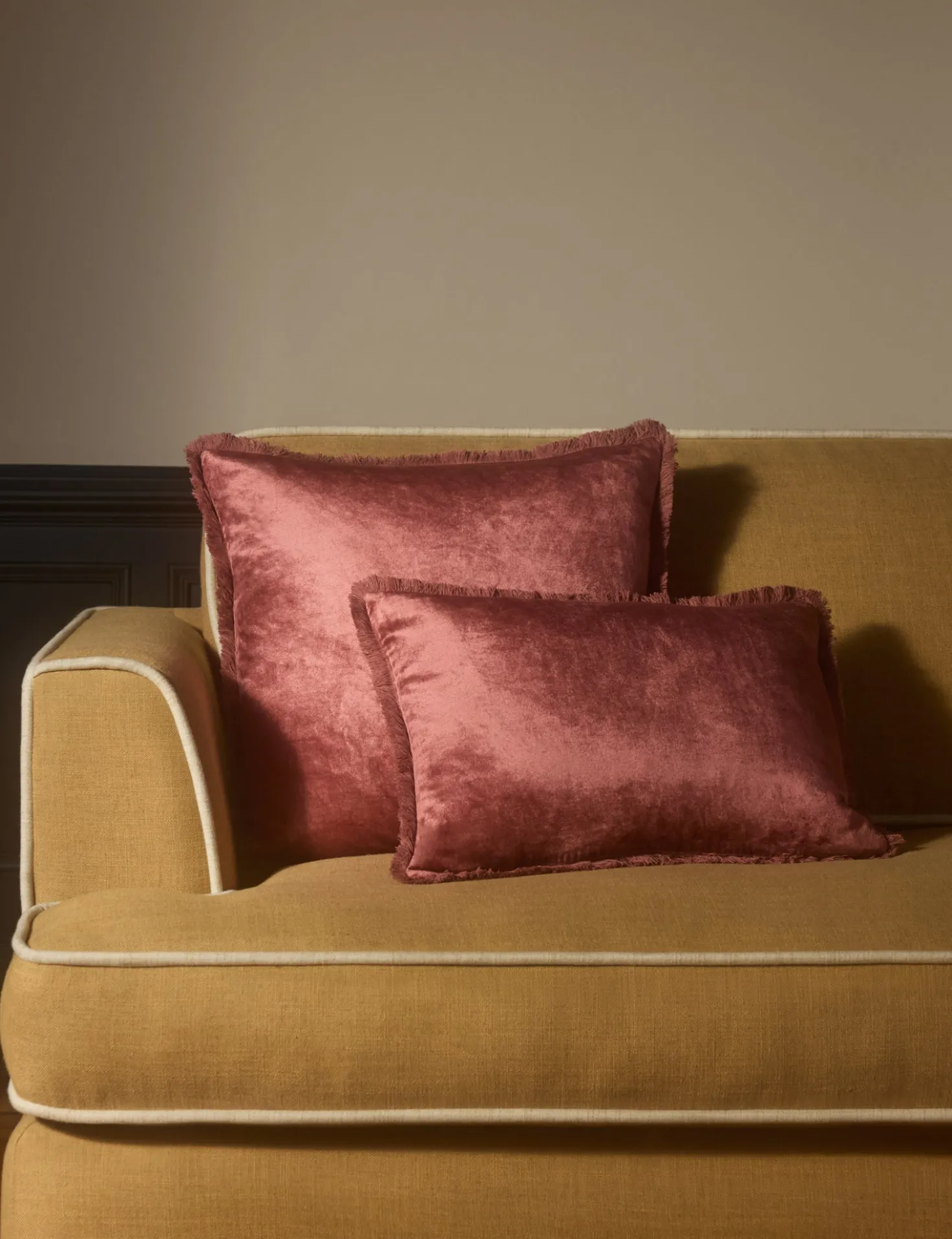 Brandis Velvet Pillow