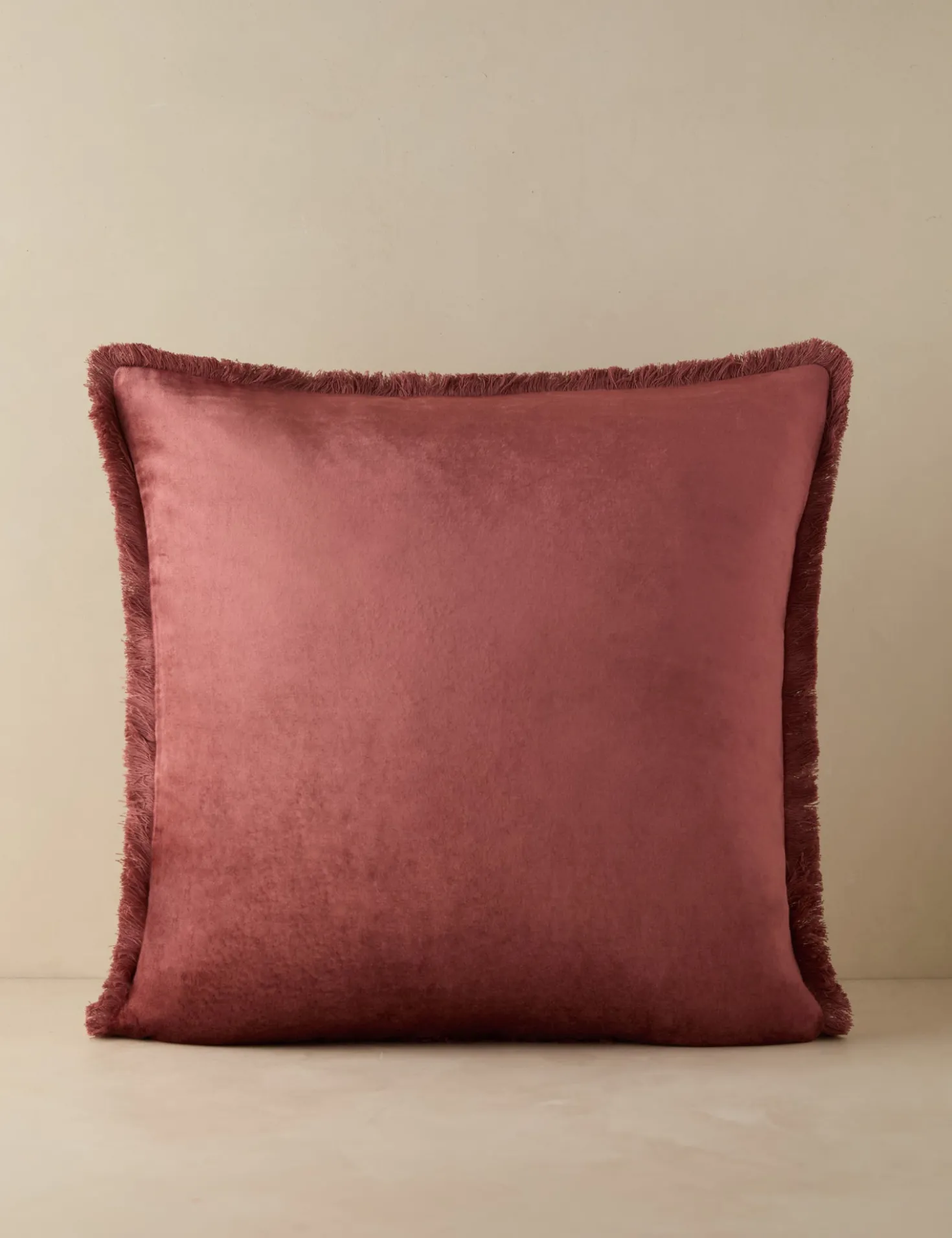 Brandis Velvet Pillow