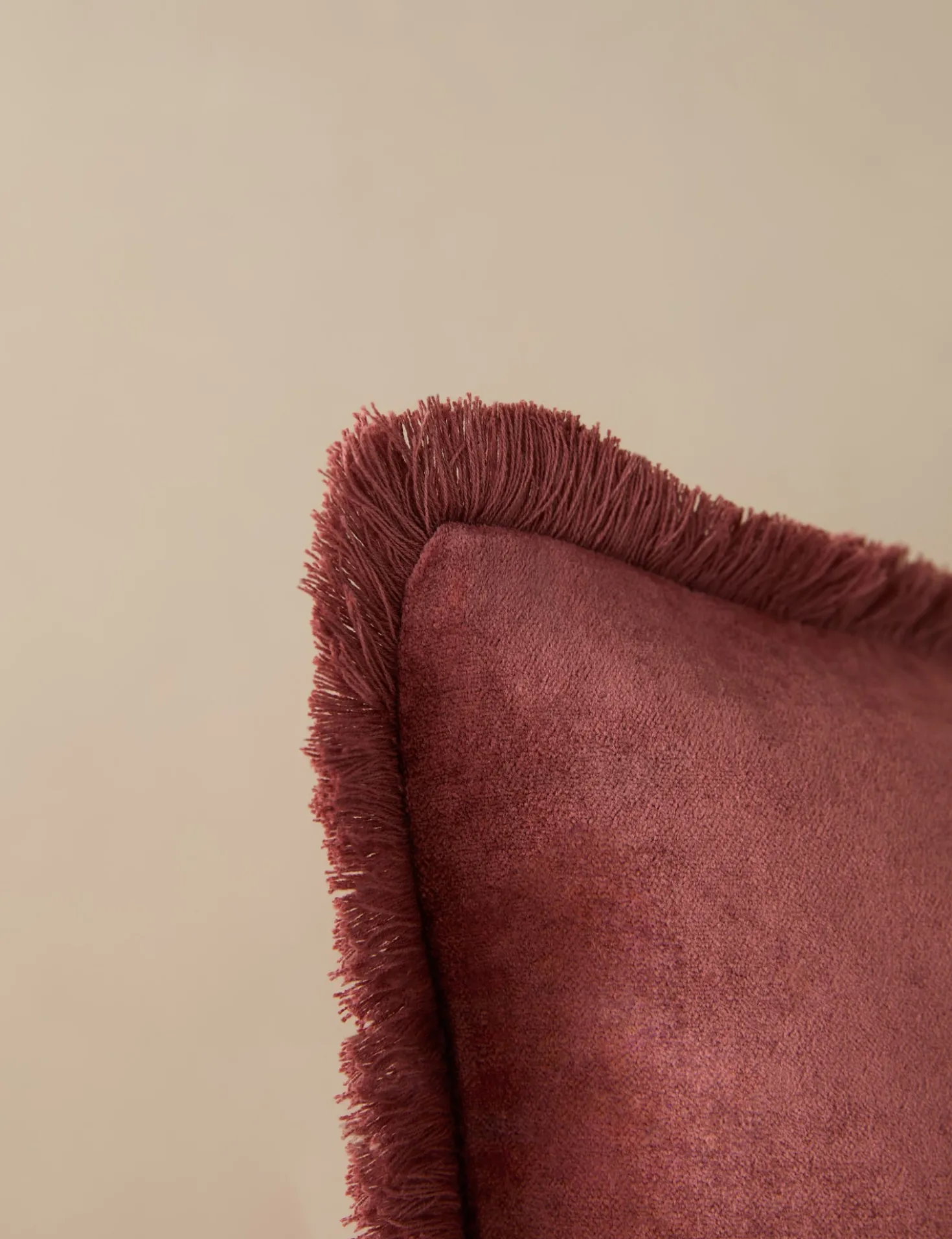 Brandis Velvet Pillow