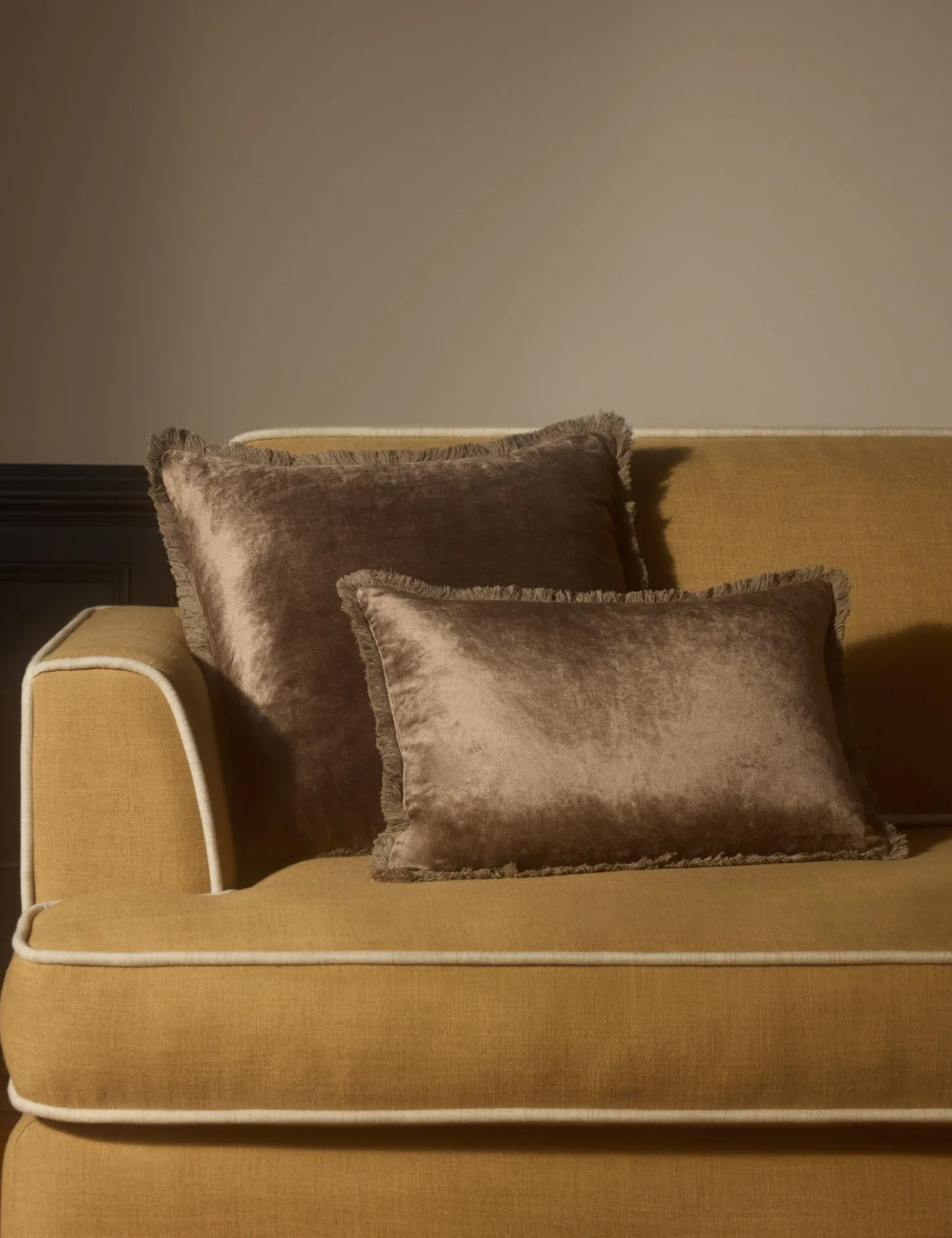 Brandis Velvet Pillow