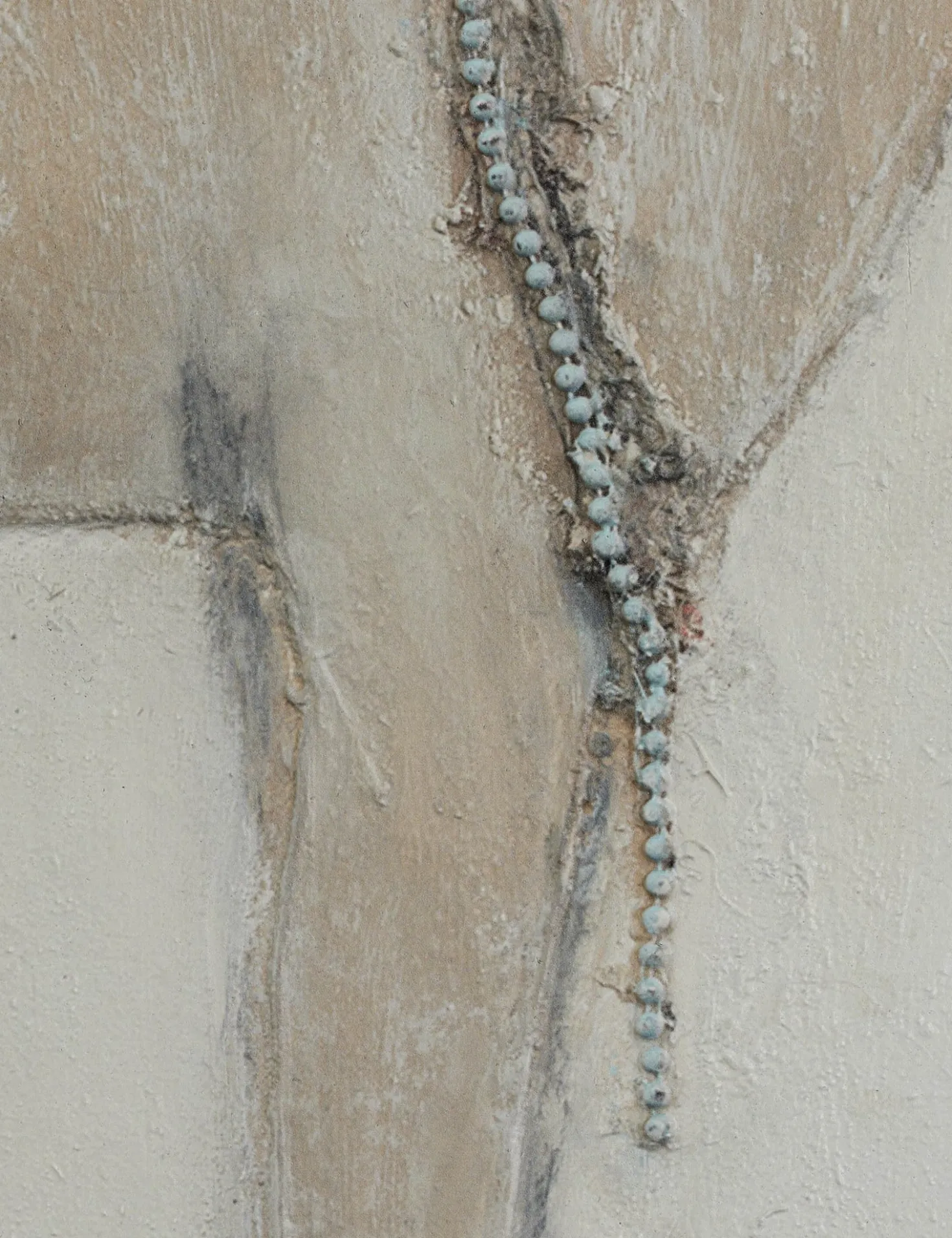 Burro Dia Wall Art by Paul Meyer