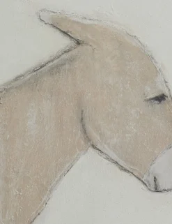 Burro Dia Wall Art by Paul Meyer
