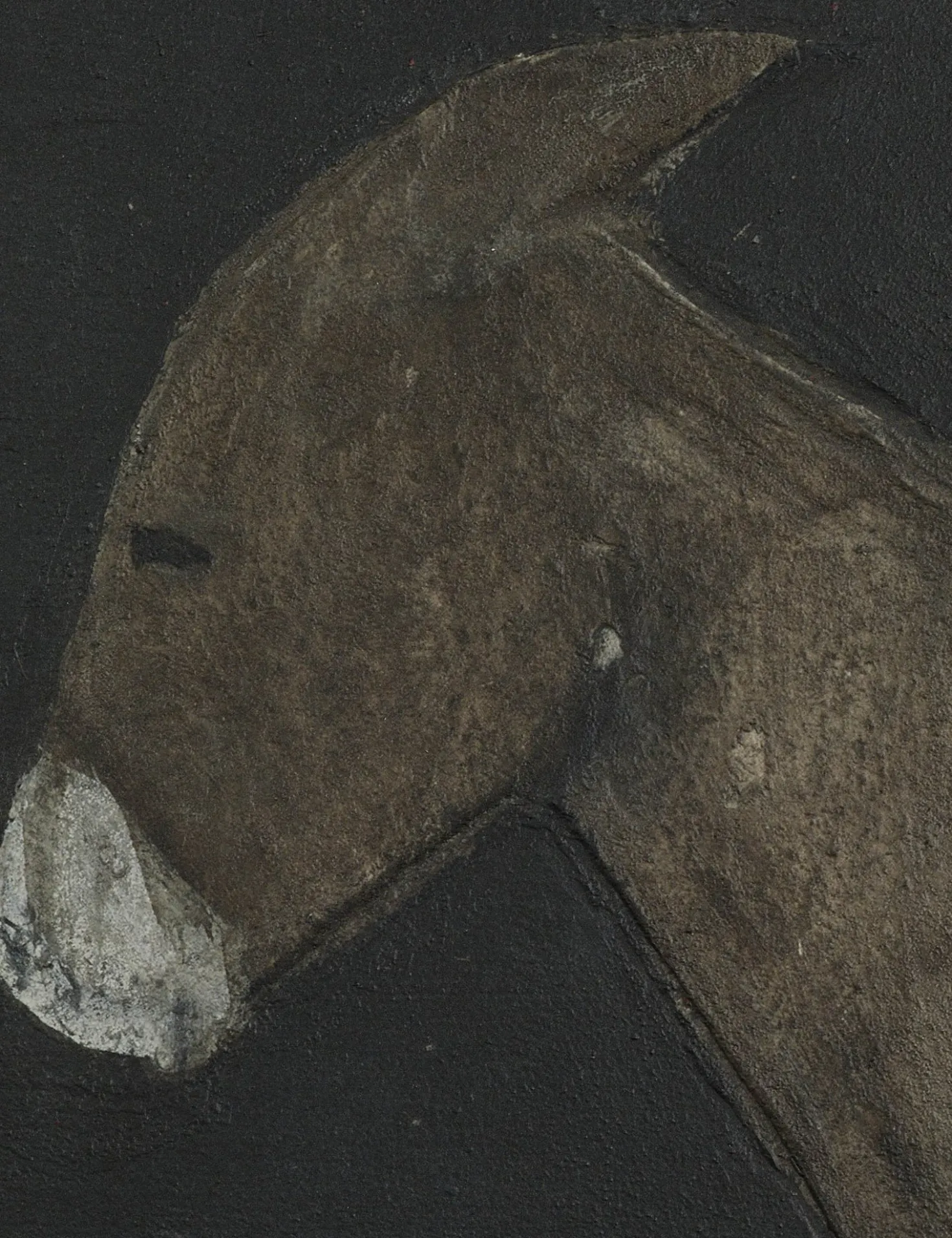 Burro Noche Wall Art by Paul Meyer