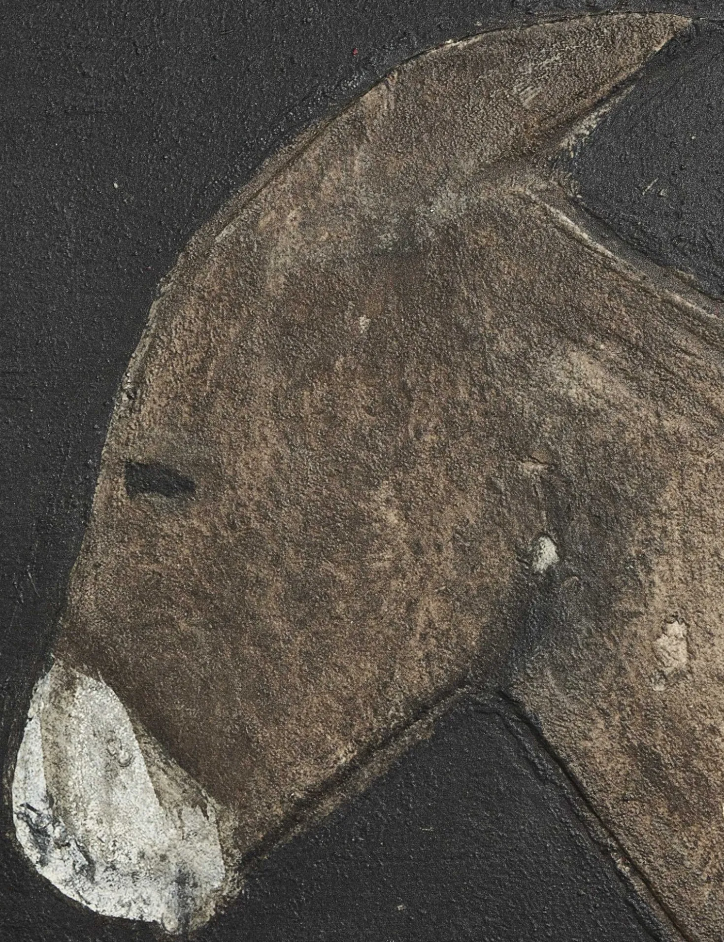 Burro Noche Wall Art by Paul Meyer