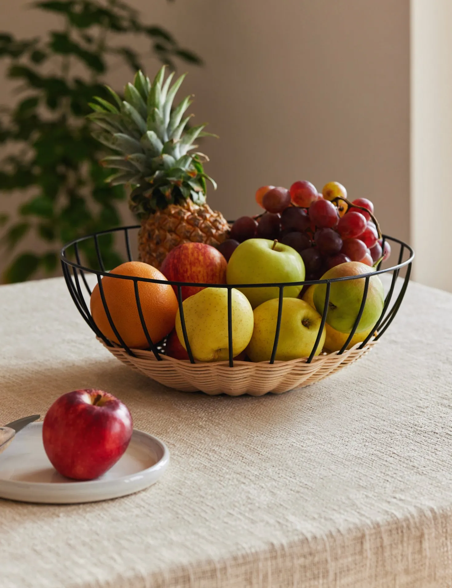 Cabo Fruit Basket by Fleck